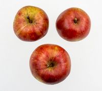 Karen Hanses æble 2